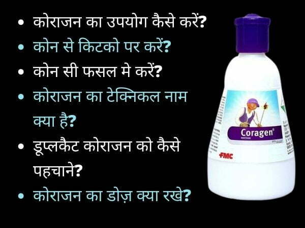 Coragen insecticide uses in hindi