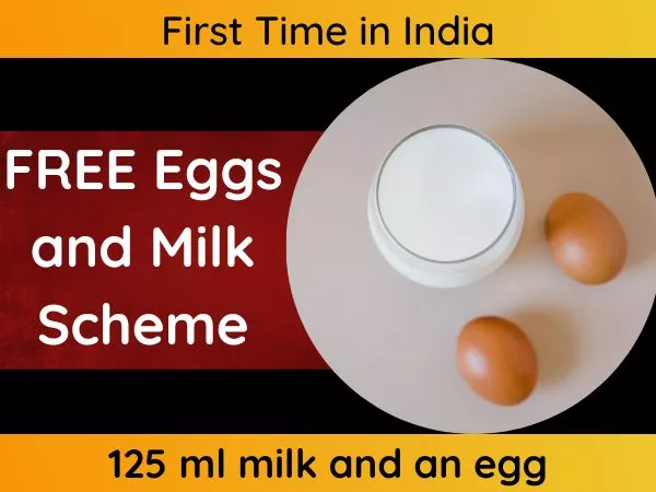 Kerala Eggs and Milk Scheme