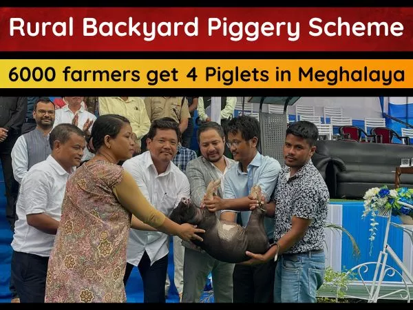 Meghalaya Rural Backyard Piggery Scheme