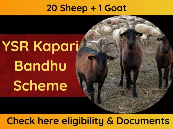 YSR Kapari Bandhu Scheme Online Registration 2023