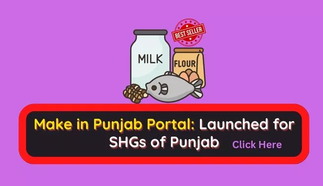 Make in Punjab Portal Launched for SHGs in Punjab