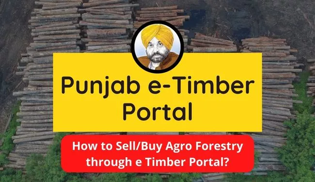 Punjab e Timber Portal | Punjab e Timber Portal Online Application/Registration