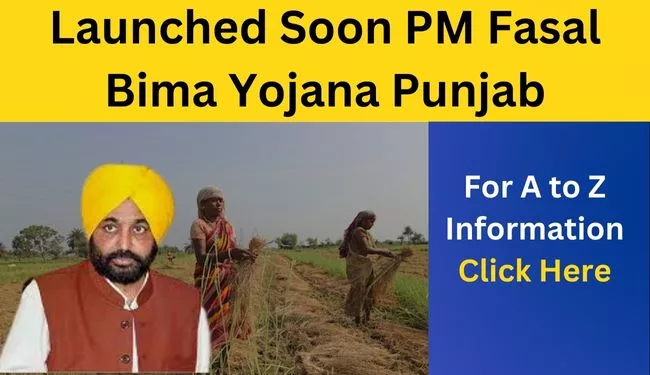 PMFBY Punjab | PM Fasal Bima Yojana Punjab