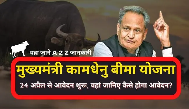 Mukhyamantri Kamdhenu Bima Yojana Rajasthan in Hindi Online Apply | मुख्यमंत्री कामधेनु पशु बीमा योजना 