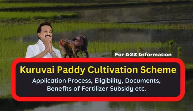 Tamil Nadu Kuruvai Paddy Cultivation Scheme Apply Online for Subsidy in fertilizer