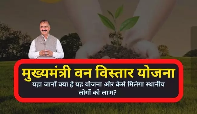 HP Mukhyamantri Van Vistaar Yojana in Hindi MMVVY | मुख्यमंत्री वन विस्तार योजना क्या है